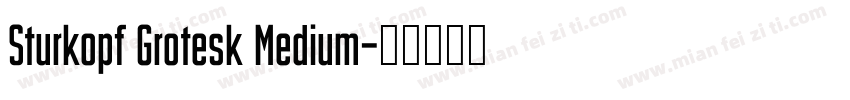 Sturkopf Grotesk Medium字体转换